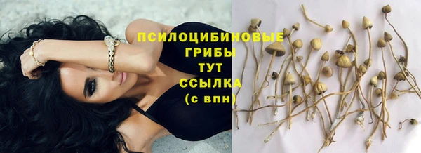 каннабис Верея