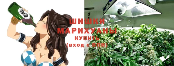прущие грибы Верхний Тагил